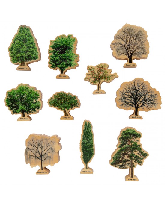 Seasons Trees